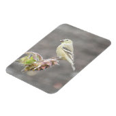 Cute Goldfinch met Seed Magnet Magneet (Linkerzijde)