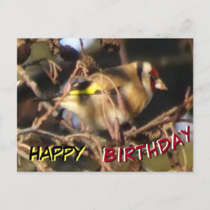 Cute Goldfinch sluit Happy Birthday Briefkaart af