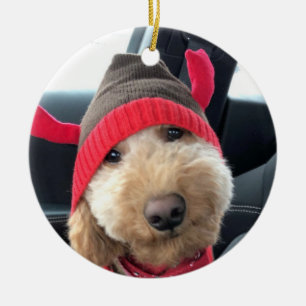 Cute Goldodenle in zijn kerstpas Keramisch Ornament