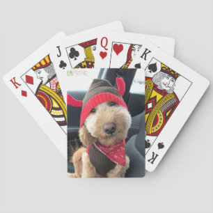 Cute Goldodenle in zijn kerstpas Pokerkaarten
