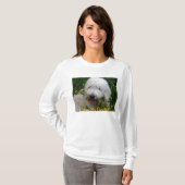 Cute Goldoedle Hoodie: "Ik hou van Mijn Studje!" T-shirt (Voorkant volledig)