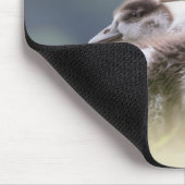 Cute Goose Chick Natuur Foto Muismat (Hoek)