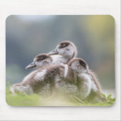 Cute Goose Chick Natuur Foto Muismat (Voorkant)