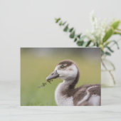 Cute Goose Chick Natuur Photo Card (Staand voorkant)