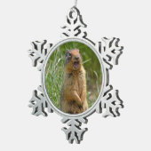 Cute gopher tin sneeuwvlok ornament (Rechts)