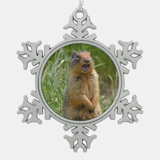 Cute gopher tin sneeuwvlok ornament (Voorkant)