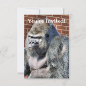 CUTE GORILLA AANKONDIGING (Voorkant)