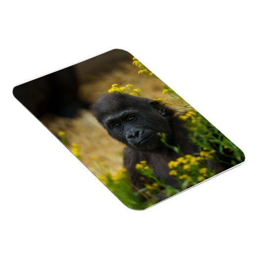 Cute Gorilla Baby Magneet (Rechterzijde)