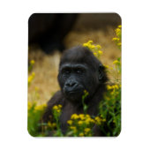 Cute Gorilla Baby Magneet (Verticaal)