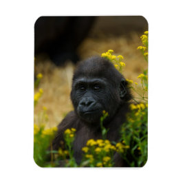 Cute Gorilla Baby Magneet