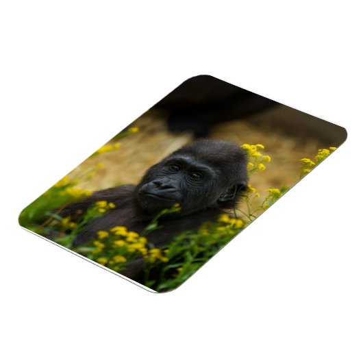 Cute Gorilla Baby Magneet (Linkerzijde)