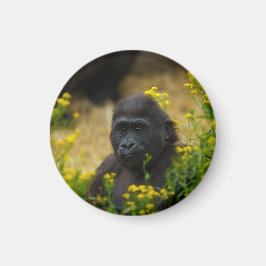 Cute Gorilla Baby Magneet