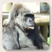 CUTE GORILLA BIER ONDERZETTER (Voorkant)