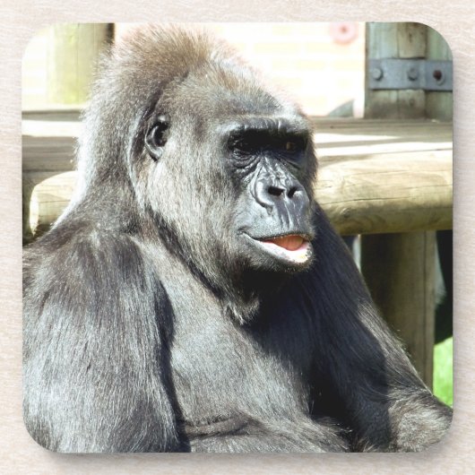 CUTE GORILLA BIER ONDERZETTER (Voorkant)