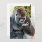 CUTE GORILLA BRIEFKAART (Voorkant / Achterkant)