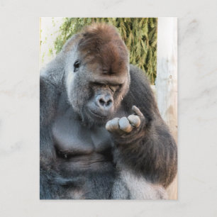 CUTE GORILLA BRIEFKAART