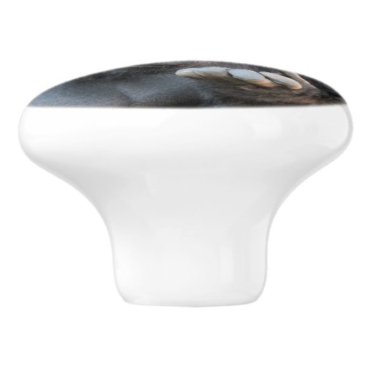 CUTE GORILLA KERAMISCHE KNOP (Zijkant)