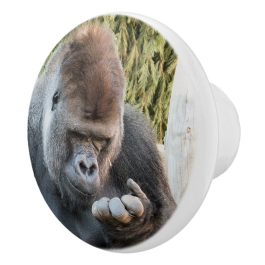 CUTE GORILLA KERAMISCHE KNOP (Rechts)