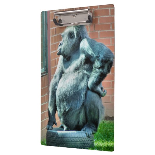 CUTE GORILLA KLEMBORD (Links)