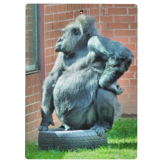 CUTE GORILLA KLEMBORD (Achterkant)