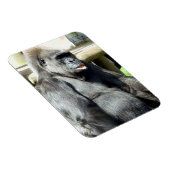 CUTE GORILLA MAGNEET (Rechterzijde)