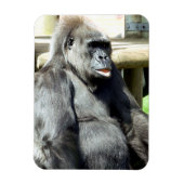 CUTE GORILLA MAGNEET (Verticaal)