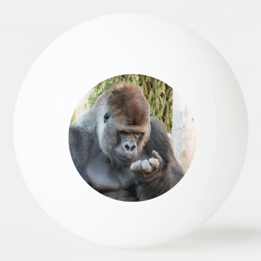 CUTE GORILLA PINGPONGBAL (Voorkant)