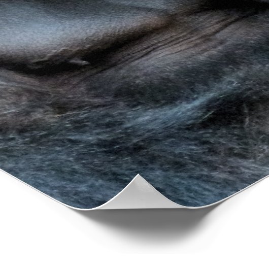 CUTE GORILLA POSTER (Hoek)