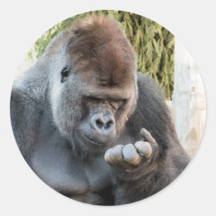 CUTE GORILLA RONDE STICKER