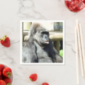 CUTE GORILLA SERVET (Insitu)