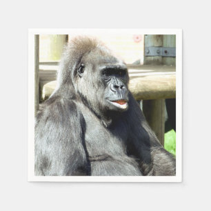 CUTE GORILLA SERVET