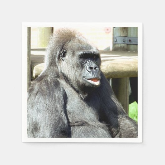 CUTE GORILLA SERVET (Voorkant)