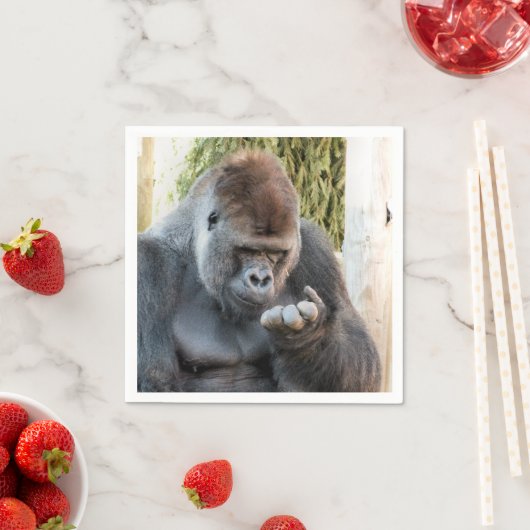 CUTE GORILLA SERVET (Insitu)