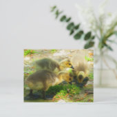 Cute Gosling Briefkaart (Staand voorkant)