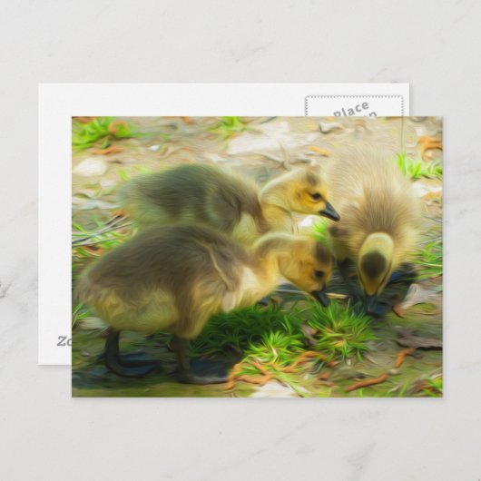 Cute Gosling Briefkaart (Voorkant / Achterkant)