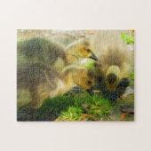 Cute Gosling Legpuzzel (Horizontaal)
