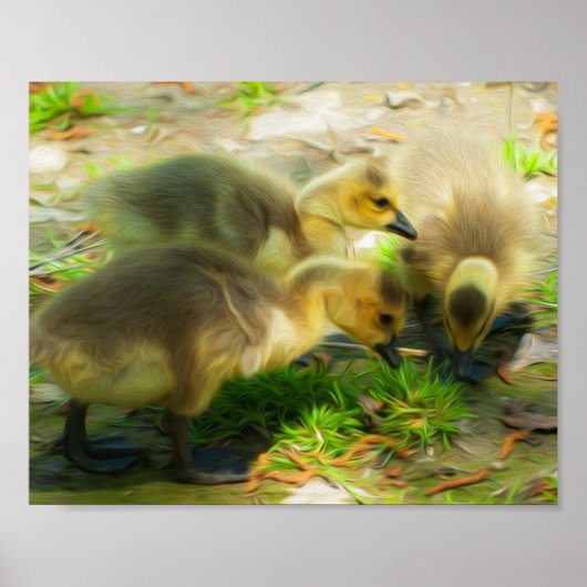 Cute Gosling Poster (Voorkant)
