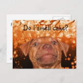 Cute grappdog verjaardag briefkaart (Voorkant / Achterkant)