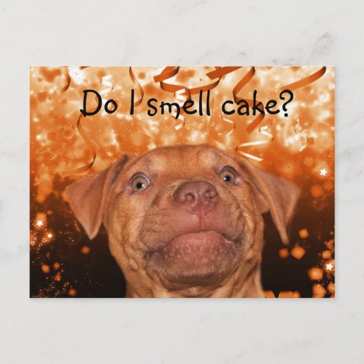 Cute grappdog verjaardag briefkaart (Voorkant)