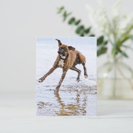 Cute grappenmaakhond briefkaart (Staand voorkant)