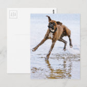 Cute grappenmaakhond briefkaart (Voorkant / Achterkant)