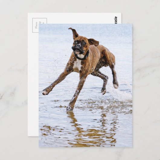 Cute grappenmaakhond briefkaart (Voorkant / Achterkant)