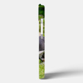 Cute grappige Boston Terrier dogs puppies spelen - Case-Mate iPhone Case (Achterkant / Links)