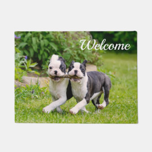 Cute grappige Boston Terrier dogs puppies spelen - Deurmat