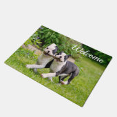 Cute grappige Boston Terrier dogs puppies spelen - Deurmat (Schuin)