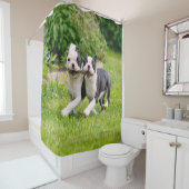 Cute grappige Boston Terrier dogs puppies spelen - Douchegordijn (In situ)