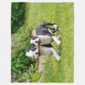 Cute grappige Boston Terrier dogs puppies spelen - Fleece Deken (Voorkant)