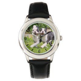 Cute grappige Boston Terrier dogs puppies spelen - Horloge