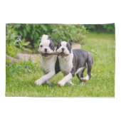 Cute grappige Boston Terrier dogs puppies spelen - Kussensloop (Achterkant)