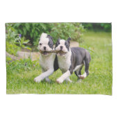 Cute grappige Boston Terrier dogs puppies spelen - Kussensloop (Voorkant)